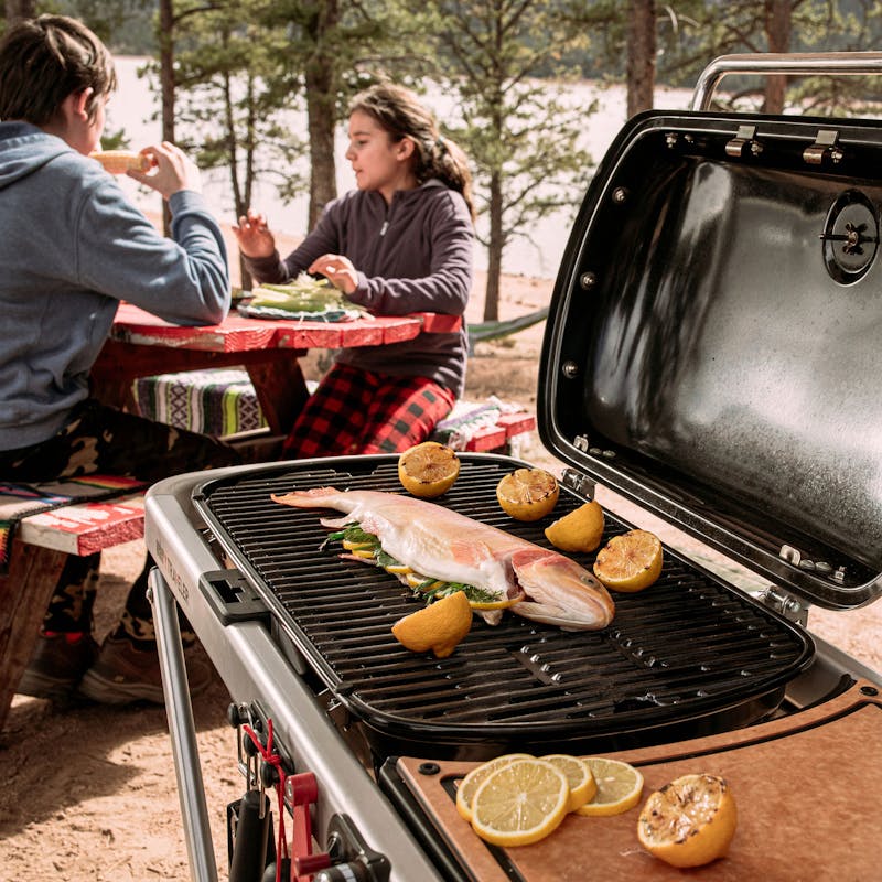 Weber Traveler Gasgrill