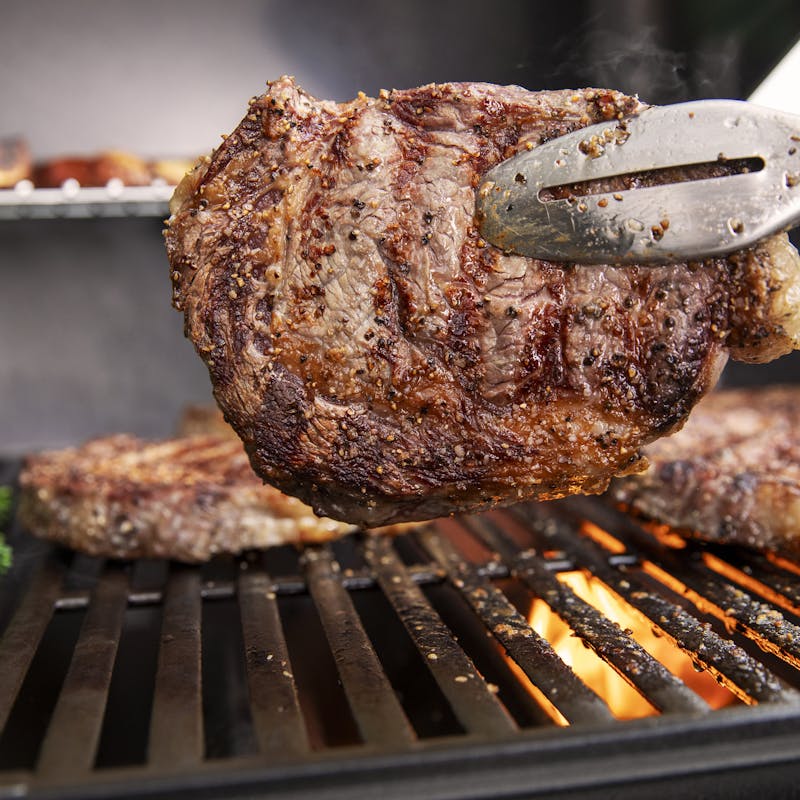 Genesis E-315 Gasgrill