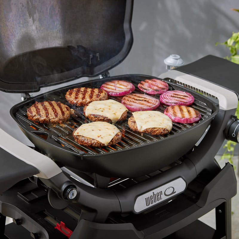 Q 1200N Gasgrill mit Seitentischen und kompaktem Stand