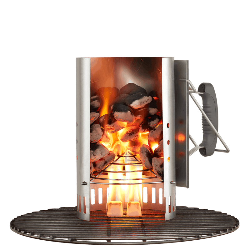 Weber Briketts