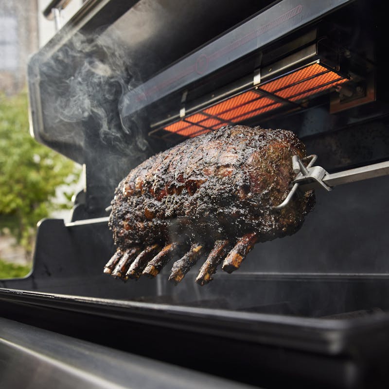 Summit FS38 E Gasgrill